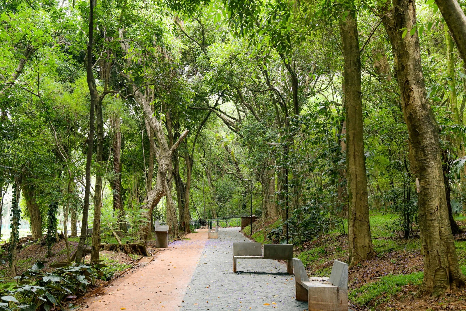 Ponto turístico da Centro de São Paulo