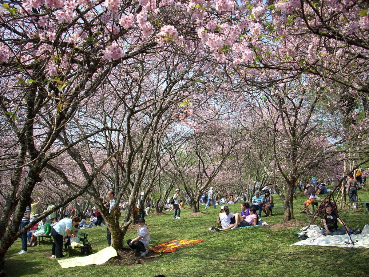 Ponto turístico da Zona Leste de São Paulo