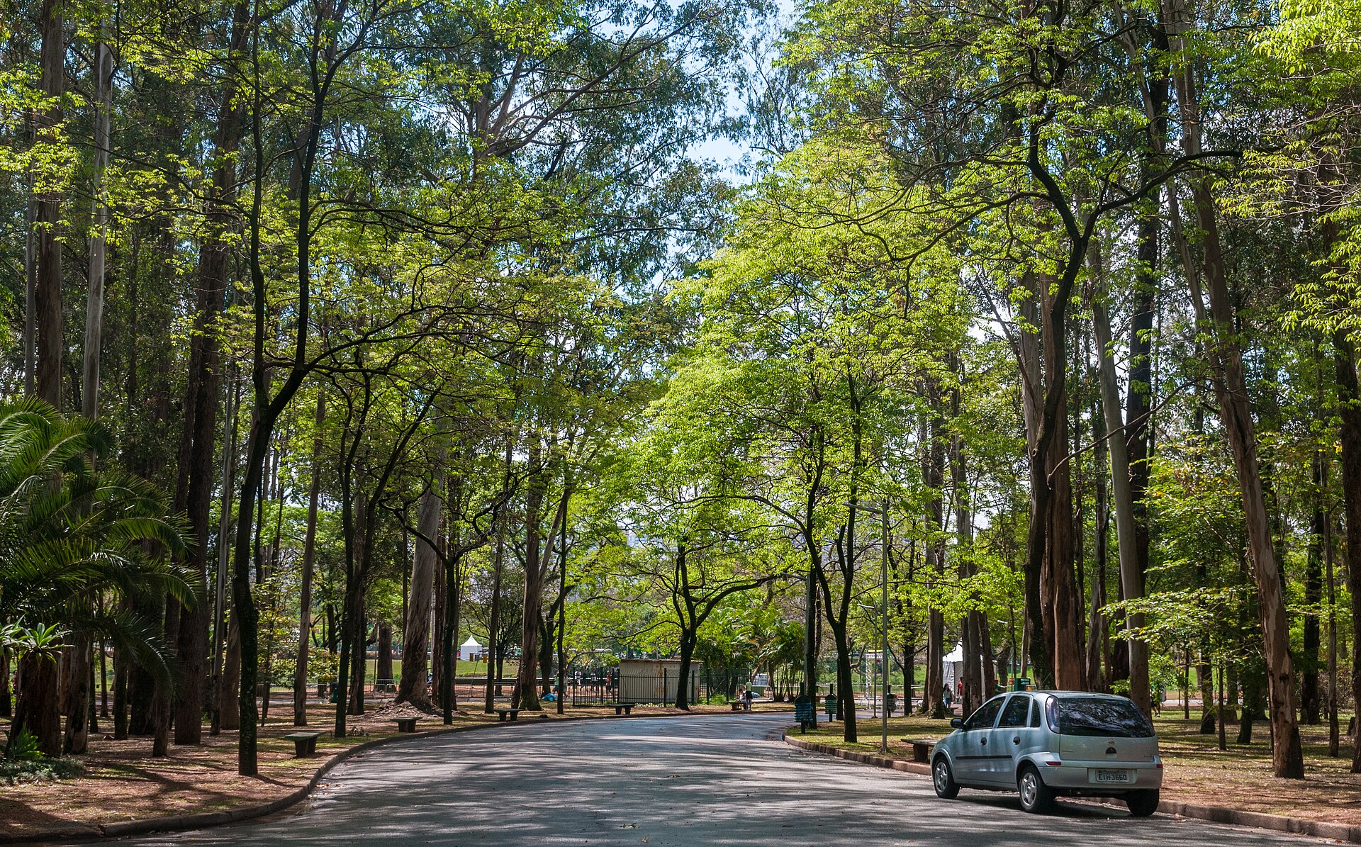 Zona Sul de São Paulo